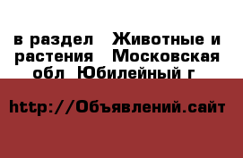  в раздел : Животные и растения . Московская обл.,Юбилейный г.